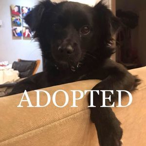 Meet your Posher, Leslie